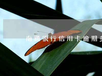 南通银行信用卡逾期多久上征信 南通银行信用卡逾期多久上征信