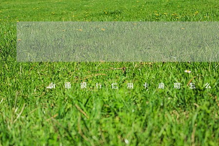 南通银行信用卡逾期怎么办 南通银行信用卡逾期怎么办