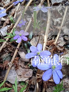 南通银行贷款逾期修复公司