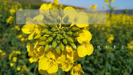 南通高新技术律师在线免费咨询 南通高新技术律师在线免费咨询