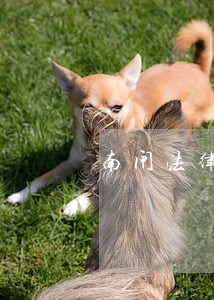 南闸法律援助在哪里 南闸法律援助在哪里