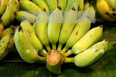 南阳专业二审律师收费 南阳专业二审律师收费