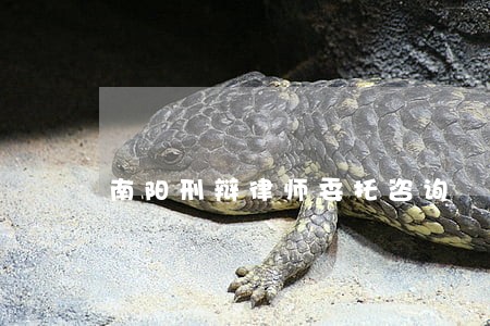 南阳刑辩律师委托咨询 南阳刑辩律师委托咨询