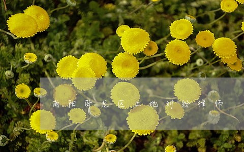 南阳卧龙区土地纠纷律师 南阳卧龙区土地纠纷律师