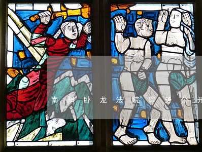 南阳卧龙法院审务公开