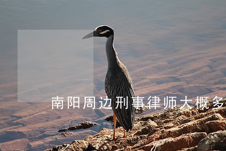 南阳周边刑事律师大概多少钱 南阳周边刑事律师大概多少钱