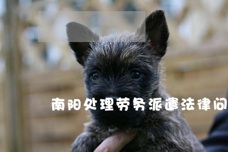 南阳处理劳务派遣法律问题律师 南阳处理劳务派遣法律问题律师