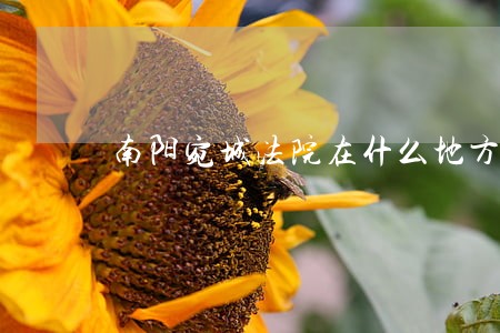 南阳宛城法院在什么地方 南阳宛城法院在什么地方