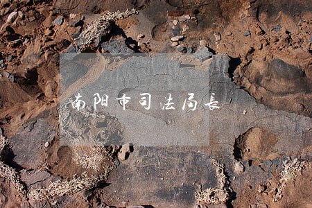 南阳市司法局长