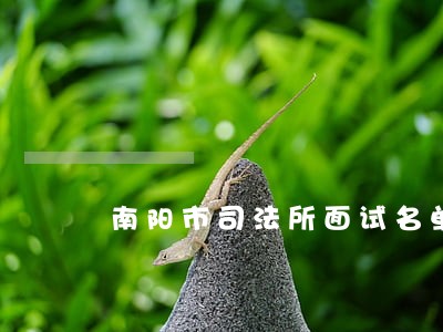 南阳市司法所面试名单 南阳市司法所面试名单