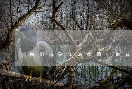南阳市常年法律顾问推荐 南阳市常年法律顾问推荐