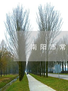 南阳市常年法律顾问费用 南阳市常年法律顾问费用