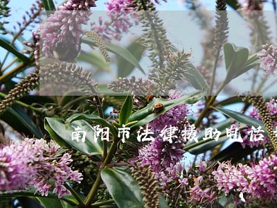 南阳市法律援助电话号码 南阳市法律援助电话号码