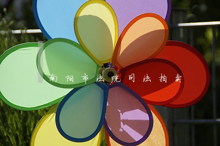 南阳市法院司法拍卖