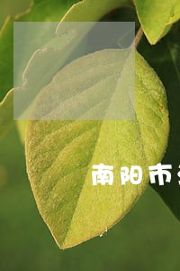 南阳市法院王浩 南阳市法院王浩