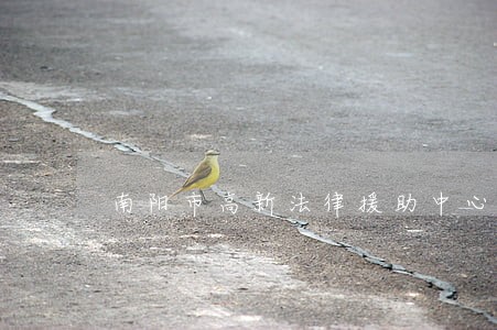 南阳市高新法律援助中心 南阳市高新法律援助中心