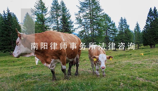 南阳律师事务所法律咨询