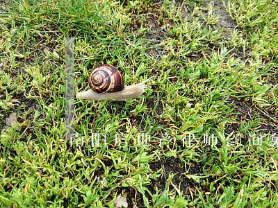 南阳房地产律师咨询免费 南阳房地产律师咨询免费