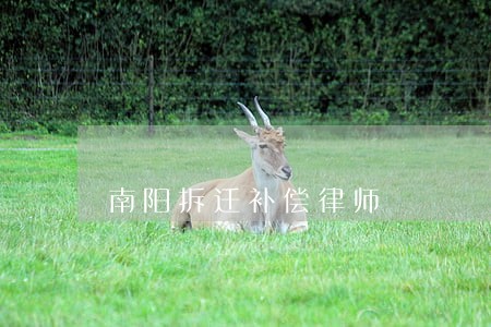 南阳拆迁补偿律师 南阳拆迁补偿律师
