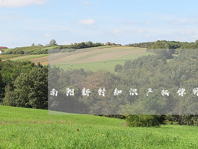 南阳新村知识产权律师咨询