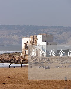 南阳杨金德诉讼
