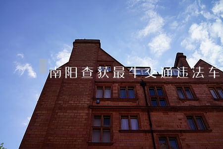 南阳查获最牛交通违法车