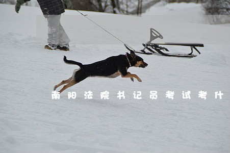 南阳法院书记员考试考什么