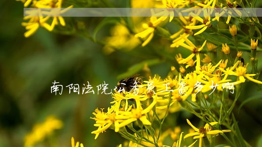 南阳法院公务员工资多少啊