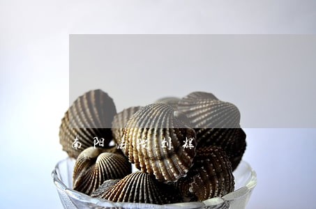 南阳法院刘辉