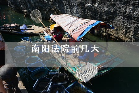南阳法院前几天