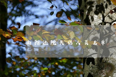 南阳法院失信人员名单 南阳法院失信人员名单