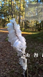 南阳法院拍南都领域卖房 南阳法院拍南都领域卖房