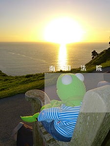 南阳法院检察院招聘信息