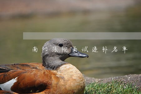 南阳法院面试递补名单 南阳法院面试递补名单