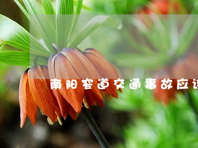 南阳窄道交通事故应该怎样诉讼