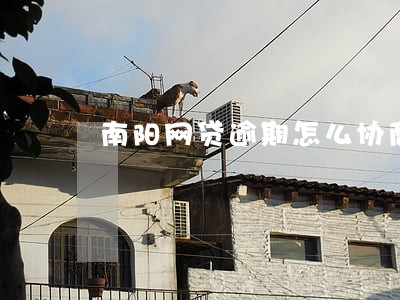 南阳网贷逾期怎么协商还款 南阳网贷逾期怎么协商还款