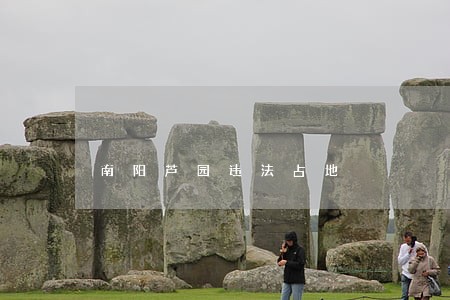 南阳芦园违法占地