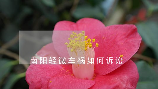 南阳轻微车祸如何诉讼
