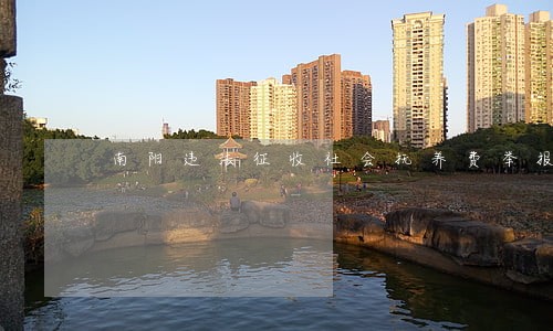 南阳违法征收社会抚养费举报电话