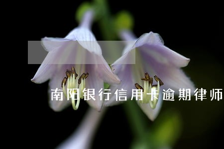 南阳银行信用卡逾期律师免费咨询 南阳银行信用卡逾期律师免费咨询