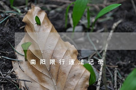 南阳限行违法记录 南阳限行违法记录