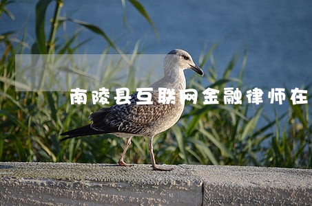 南陵县互联网金融律师在线咨询 南陵县互联网金融律师在线咨询