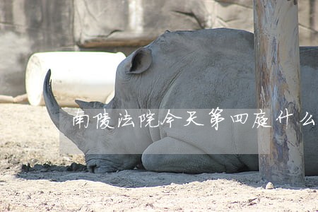 南陵法院今天第四庭什么案