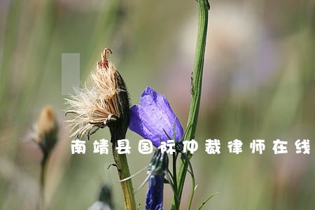 南靖县国际仲裁律师在线咨询 南靖县国际仲裁律师在线咨询