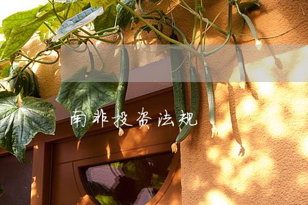 南非投资法规