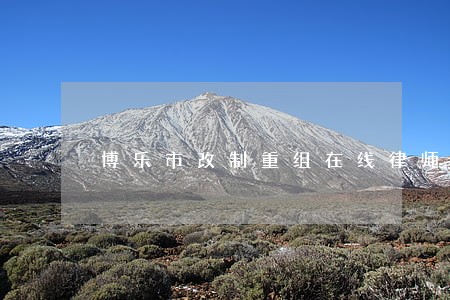 博乐市改制重组在线律师咨询