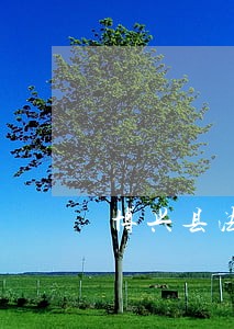 博兴县法律援助机构