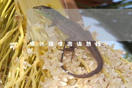 博兴法律咨询热线 博兴法律咨询热线
