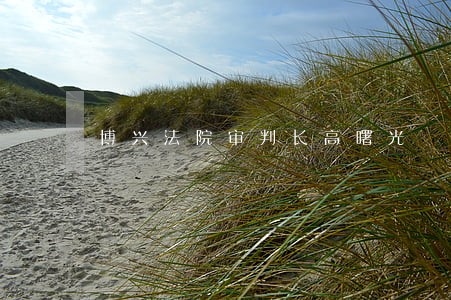 博兴法院审判长高曙光 博兴法院审判长高曙光
