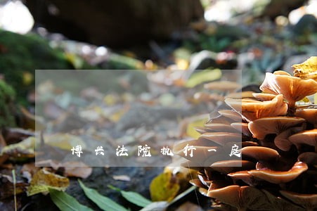 博兴法院执行一庭